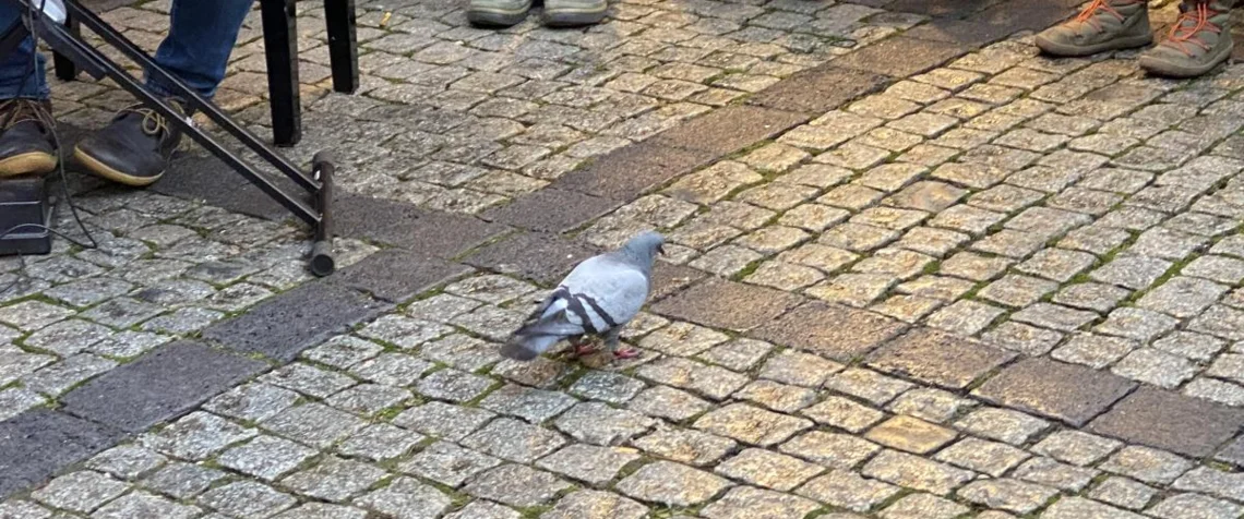 Weihnachtsmarktsingen