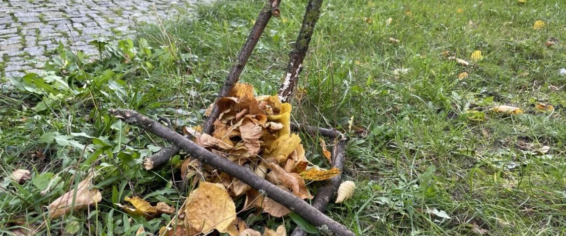 Land-art unter Linden