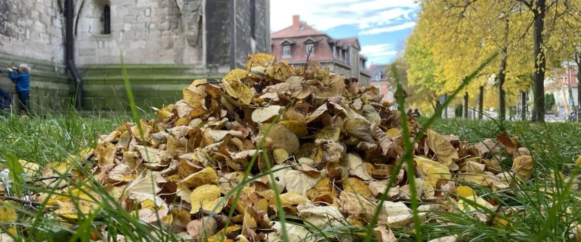 Land-art unter Linden